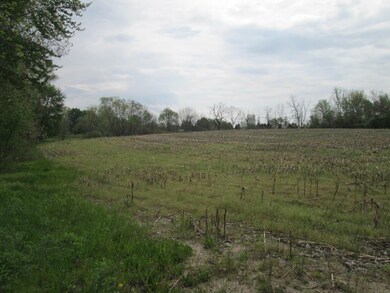 V/L Holden Rd, Glendora, MI 49107 - photo 3