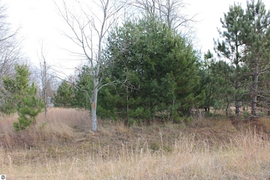 0 Indian Trail unit 1940617, Buckley, MI 49620 - photo 6