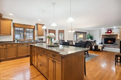 386 N Larch Ave, Elmhurst, IL 60126 - photo 7