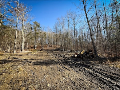 Lot-01 Langford Creek Rd, van Etten, NY 14889 - photo 6