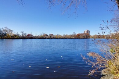 989 Memorial Dr unit 491, Cambridge, MA 02138 - photo 2