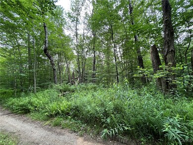 0 Kimball Camp Rd unit S1622094, Orwell, NY 13426 - photo 7