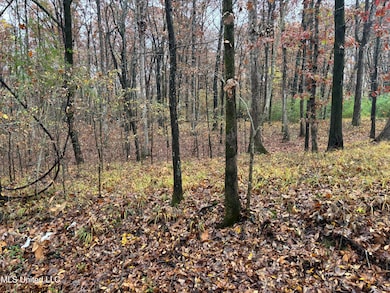 0 Alexander Dr, Olive Branch, MS 38654 - photo 6
