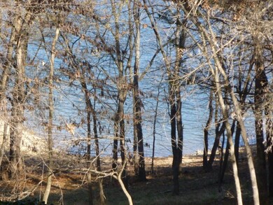 115 Cherokee Dr, Kimberling City, MO 65686 - photo 3