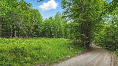 1 Woodcock Rd, Plainfield, VT 05667 - photo 3