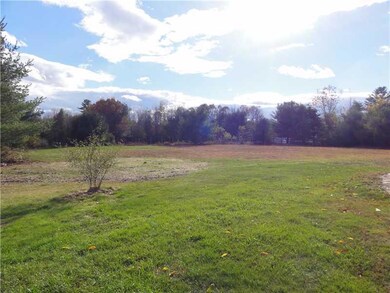 Yard/Garden. Back Yard