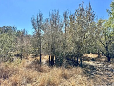 0 County Road 215, McCoy, TX 78113 - photo 5