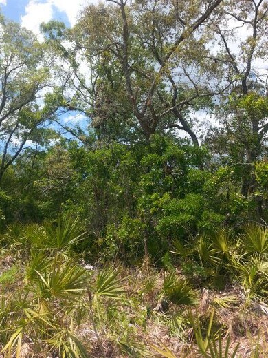 0 Seameadows Dr unit 331342, Perry, FL 32348 - photo 3