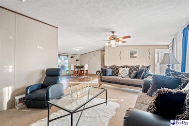 1115 Cartrell Brown Dr, Marion, SC 29571 - photo 5