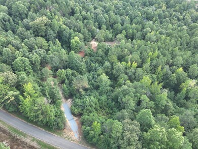 0 Martin Luther King Hwy, Eutaw, AL 35462 - photo 4