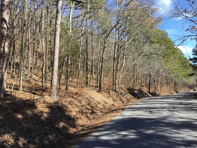 0 Higginbotham Rd unit 22020696, Little Rock, AR 72126 - photo 2