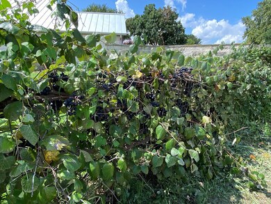 1703 Cherrywood Dr unit 18, Fredericksburg, TX 78624 - photo 2