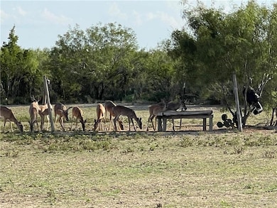 0 NE Loma Blanca Rd NE unit 463874, Roma, TX 78584 - photo 4