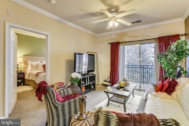 Bryson At Woodland Park unit 315, Herndon, VA 20171 - photo 3