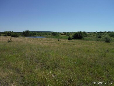 Tract 13 Private Road 3642, Copperas Cove, TX 76522 - photo 2