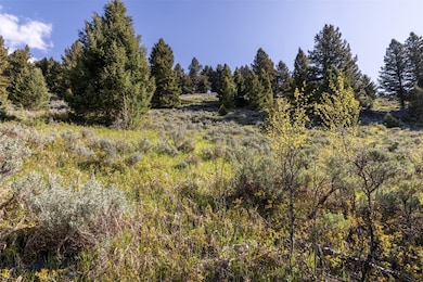 Lot 10 Two Gun White Calf Rd, Big Sky, MT 59716 - photo 6