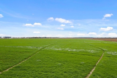 6 Gro Racca Rd, Iowa, LA 70647 - photo 2