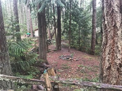 22237 Bluewater Dr SE, Yelm, WA 98597 - photo 5