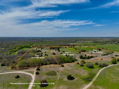 Tract 2 County Road 2311, Decatur, TX 76234 - photo 6