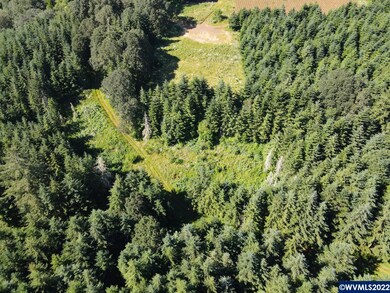 42480 Mount Pleasant Dr, Scio, OR 97374 - photo 6