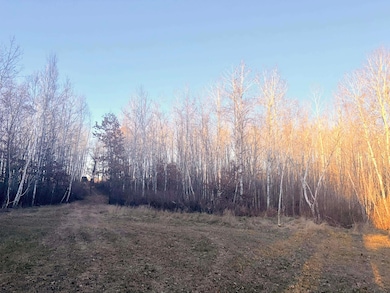 1287 Trinity Pines Ln NW, Backus, MN 56435 - photo 3