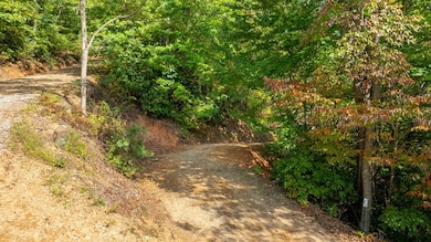 Lot 12 Cliff View Dr, Franklin, NC 28734 - photo 6