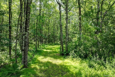 Lot 69 Cushetunk Dr, Cochecton, NY 12726 - photo 3