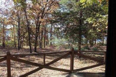 433 Tulip Lane Rd, Kimberling City, MO 65686 - photo 7