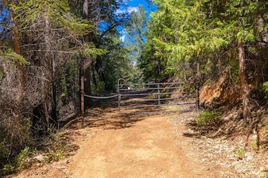 0 Drum Powerhouse Rd unit 225091514, Alta, CA 95701 - photo 4