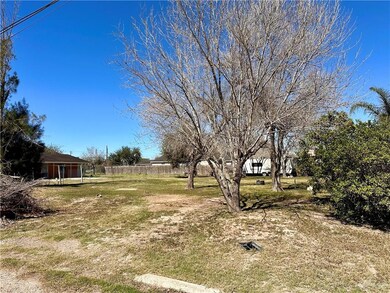 1604 Tierra Bonnita St, Weslaco, TX 78596 - photo 3