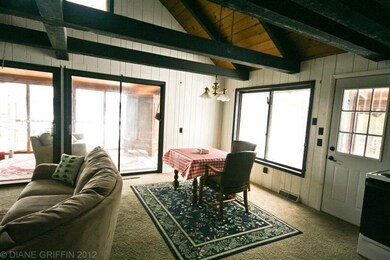 1445 Old Ferris Ln, Bitely, MI 49309 - photo 3