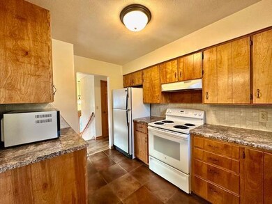 409 S Winnebago St, Caledonia, MN 55921 - photo 4