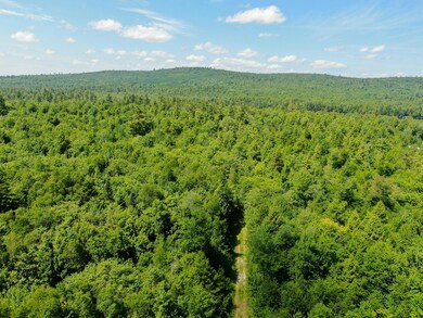 21 Spruce Point Rd, Lowell, ME 04493 - photo 2