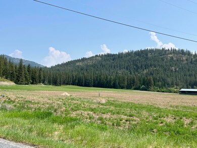 TBD-Lot 1 Immel Rd, Chewelah, WA 99109 - photo 4