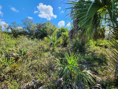 17707 NW 274th St, Okeechobee, FL 34972 - photo 3