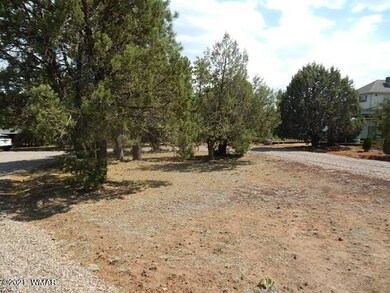 0 6th Place, Show Low, AZ 85901 - photo 3