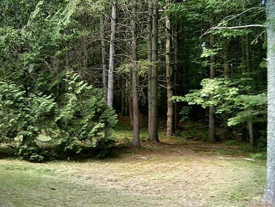 Back Yard.