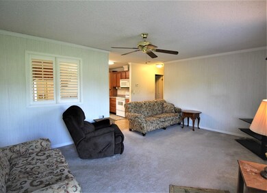 110 Middle Rd, Sylvester, GA 31791 - photo 5