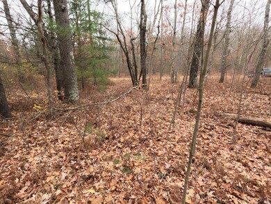 V/L 40th Ave, Merrill Township, MI 49309 - photo 4