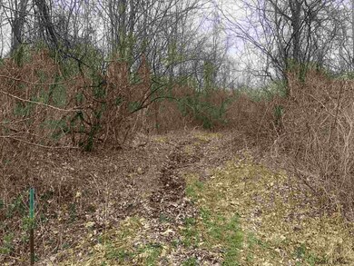 89 Bald Mountain Rd, Troy, NY 12180 - photo 6