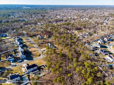 Aerial (11)