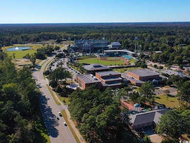 Aerial overview of property's location with a heavily wooded area and a large body of water