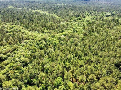 0 St Hwy 59 unit 348142, Stockton, AL 36579 - photo 6