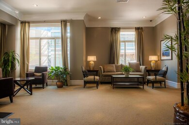 Continental Ballston unit 510, Arlington, VA 22203 - photo 5