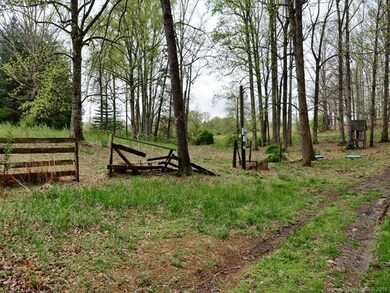 0 Sandy Hill Ln unit 3233330, Hendersonville, NC 28792 - photo 2