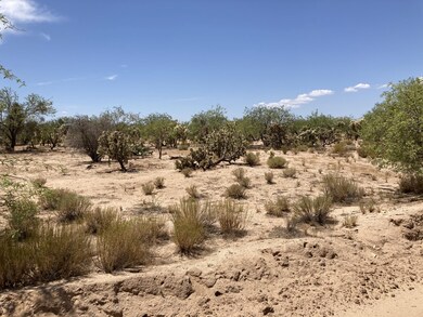 IMG-0148