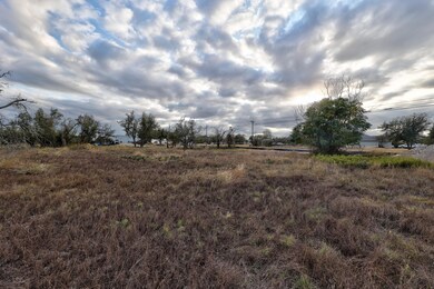 0 W Charolet Ave unit 21828358, Harper, TX 78631 - photo 4