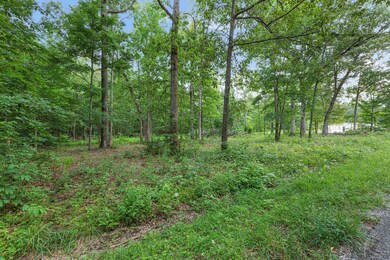 0A Alice Boynton Rd, Manchester, TN 37355 - photo 3