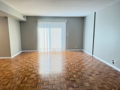 5240 Galitz St unit 304, Skokie, IL 60077 - photo 5