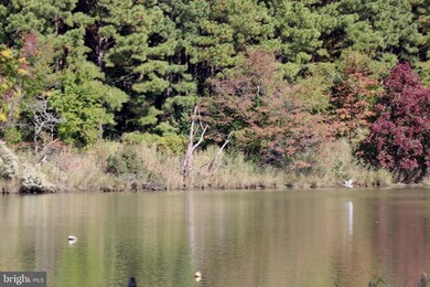 128 N Lake Dr, Stevensville, MD 21666 - photo 6